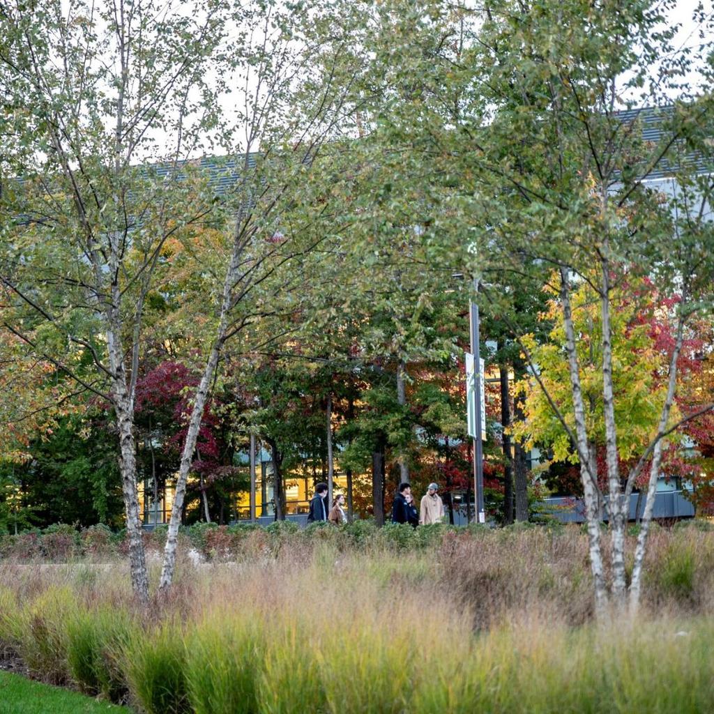 Students walk beside a campus building, framed by trees and colorful grasses.